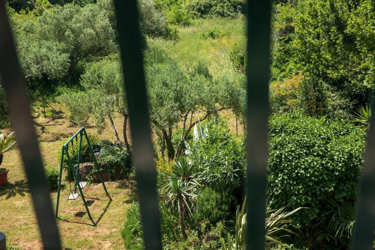Villa Mareonda - Apartments Sussurro Rovinj Bagian luar foto
