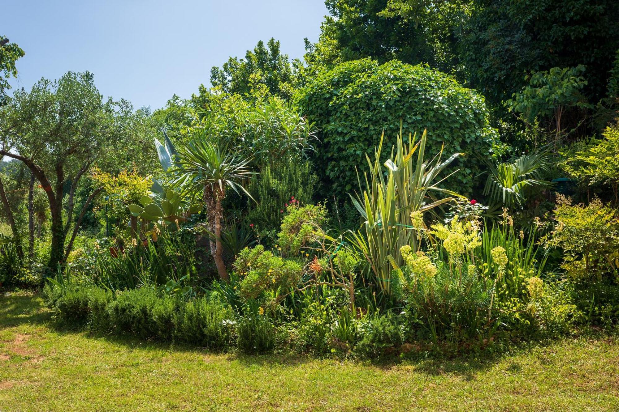Villa Mareonda - Apartments Sussurro Rovinj Bagian luar foto